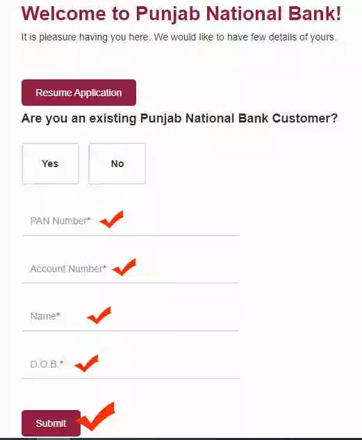 pnb credit card